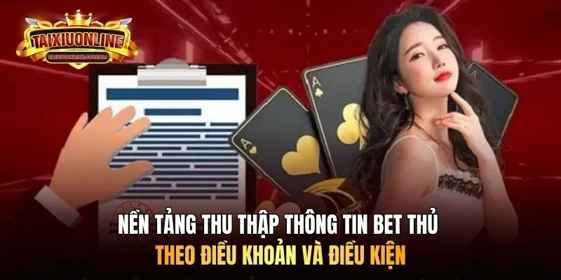 Nền tảng thu thập thông tin bet thủ theo điều khoản và điều kiện